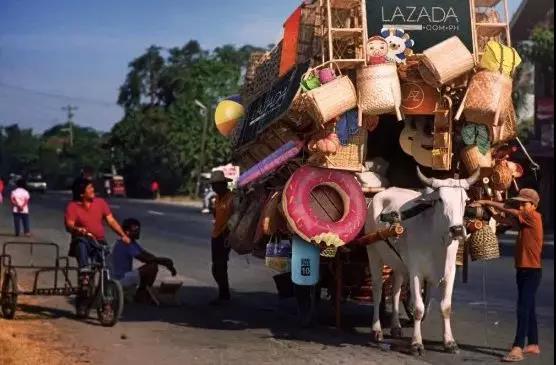 这头名叫Luz的奶牛扛过的SKU超过七千个