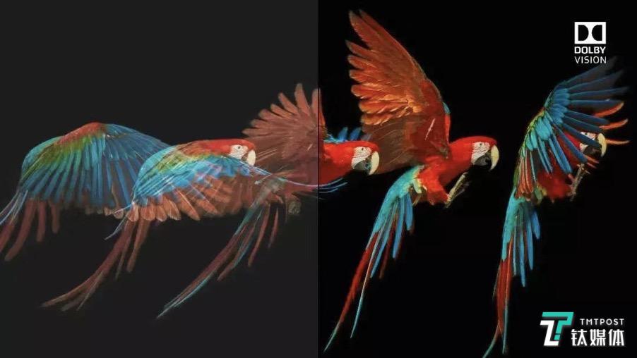 声音、图像领域黑科技，杜比视界HDR和杜比全景声 | 钛科普