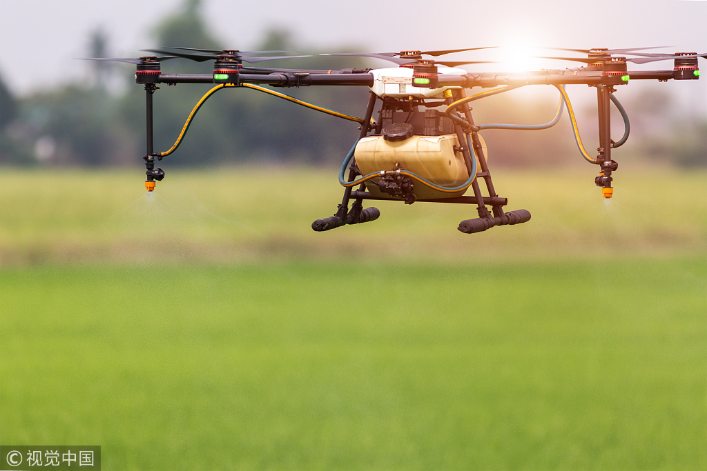 图片来源：视觉中国