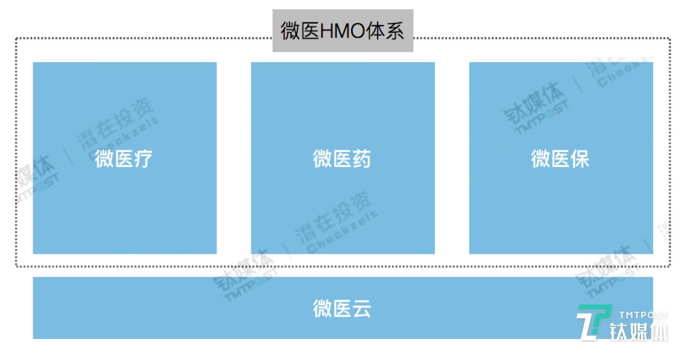 钛媒体根据微医业务体系制图，图／付梦雯