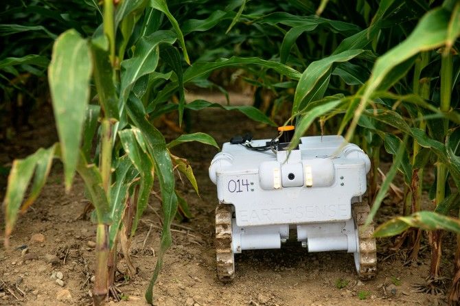 TerraSentia机器人正在接受培训，在农田间移动并对单个玉米植物进行远程诊断