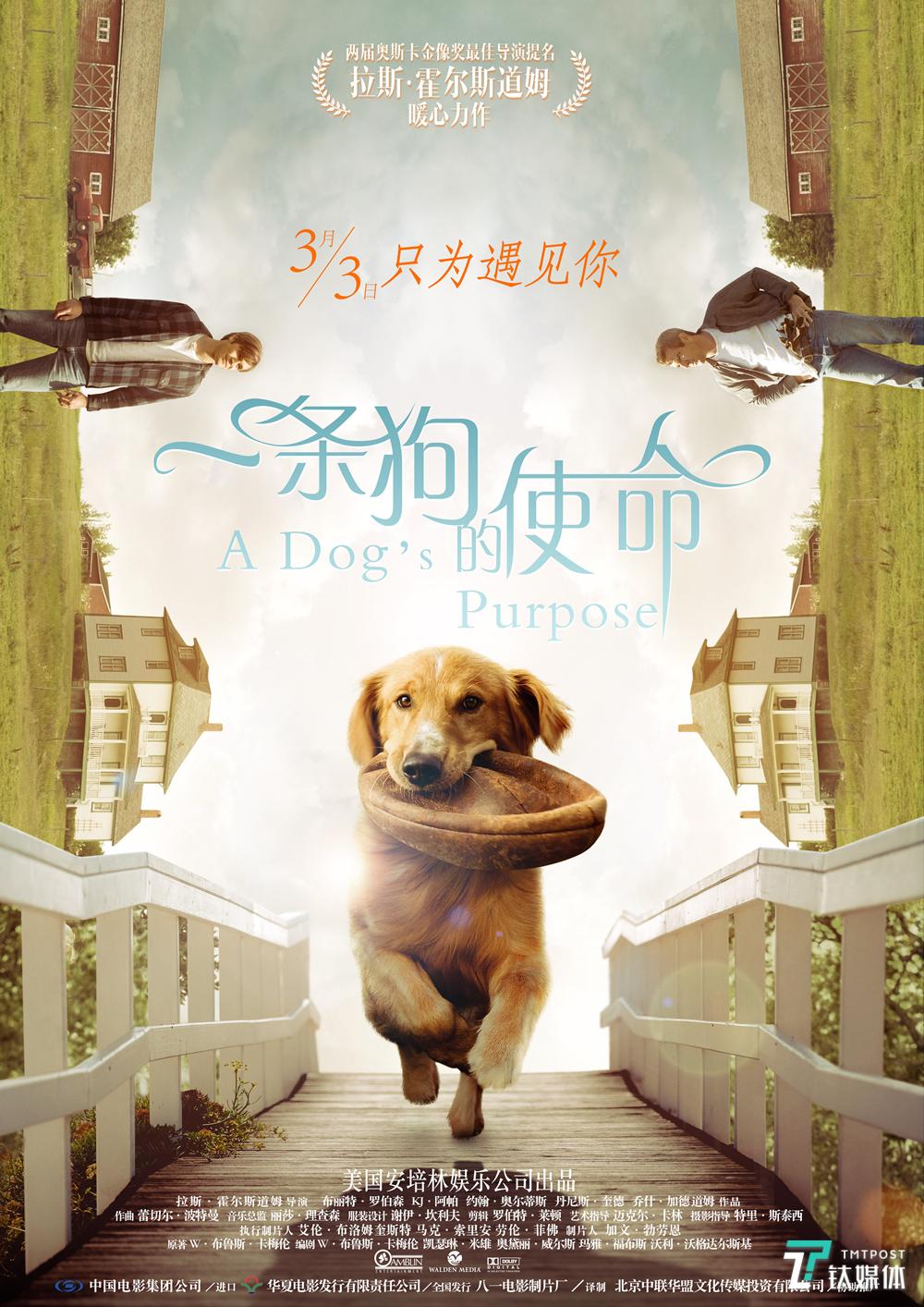 《一条狗的使命》导演获得过两届奥斯卡最佳导演奖提名