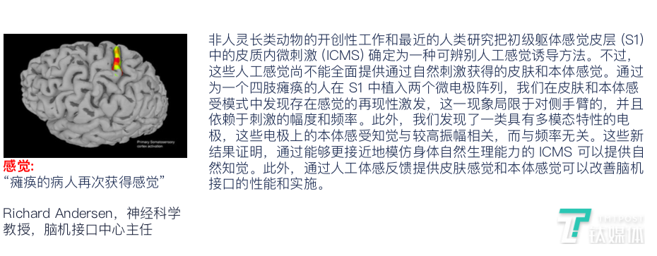 瘫痪的病人再次获得感觉（图片来源：TCCI2018年度报告）
