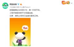 熊猫直播官方宣布停服:主站流浪计划第一阶段开启