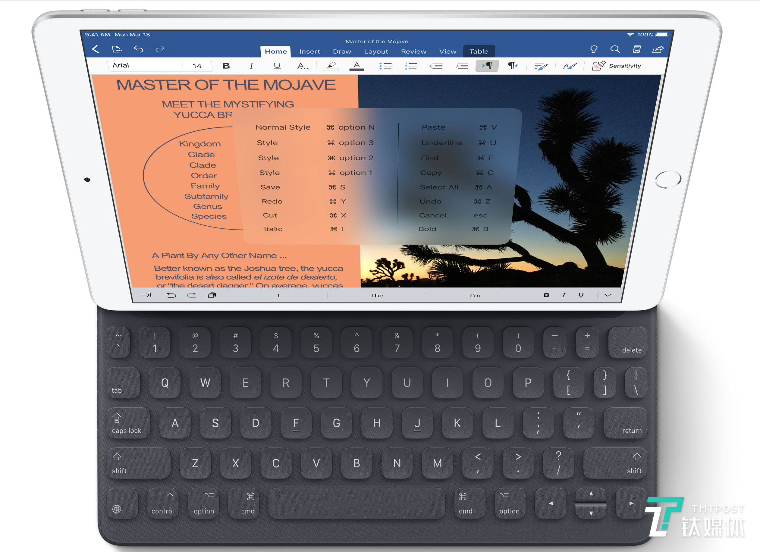 苹果发布了新款 iPad Air 和 iPad Mini，都支持Apple Pencil丨钛快讯