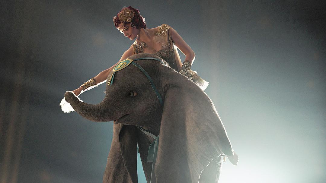 《小飞象》能否在国内票房市场“起飞”？