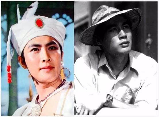 连摘8尊金鸡,百花奖杯,但金鸡影帝和百花影帝却花落同剧组的其他演员