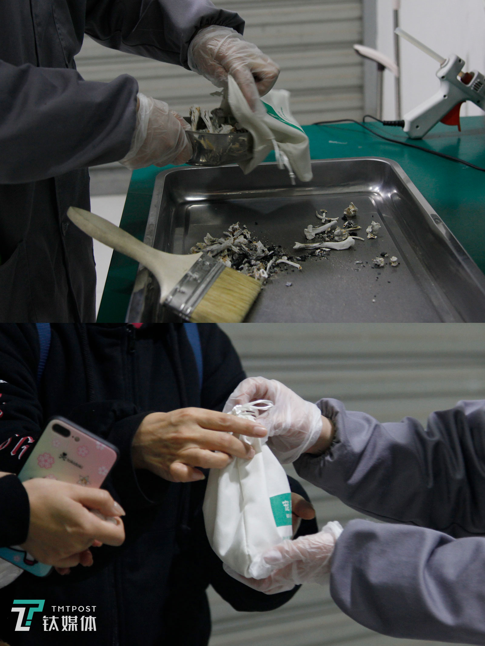 宠物殡葬:3年火化6000只宠物,4亩墓地可安葬250只丨钛媒体影像《在线