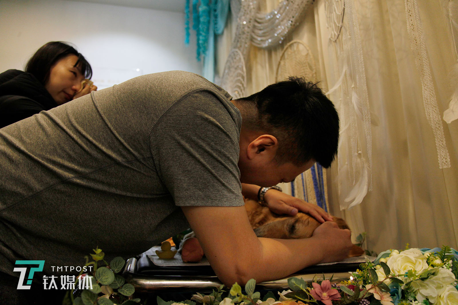 狐狸用手一遍遍抚摸着馒头的头，忍不住哭泣。