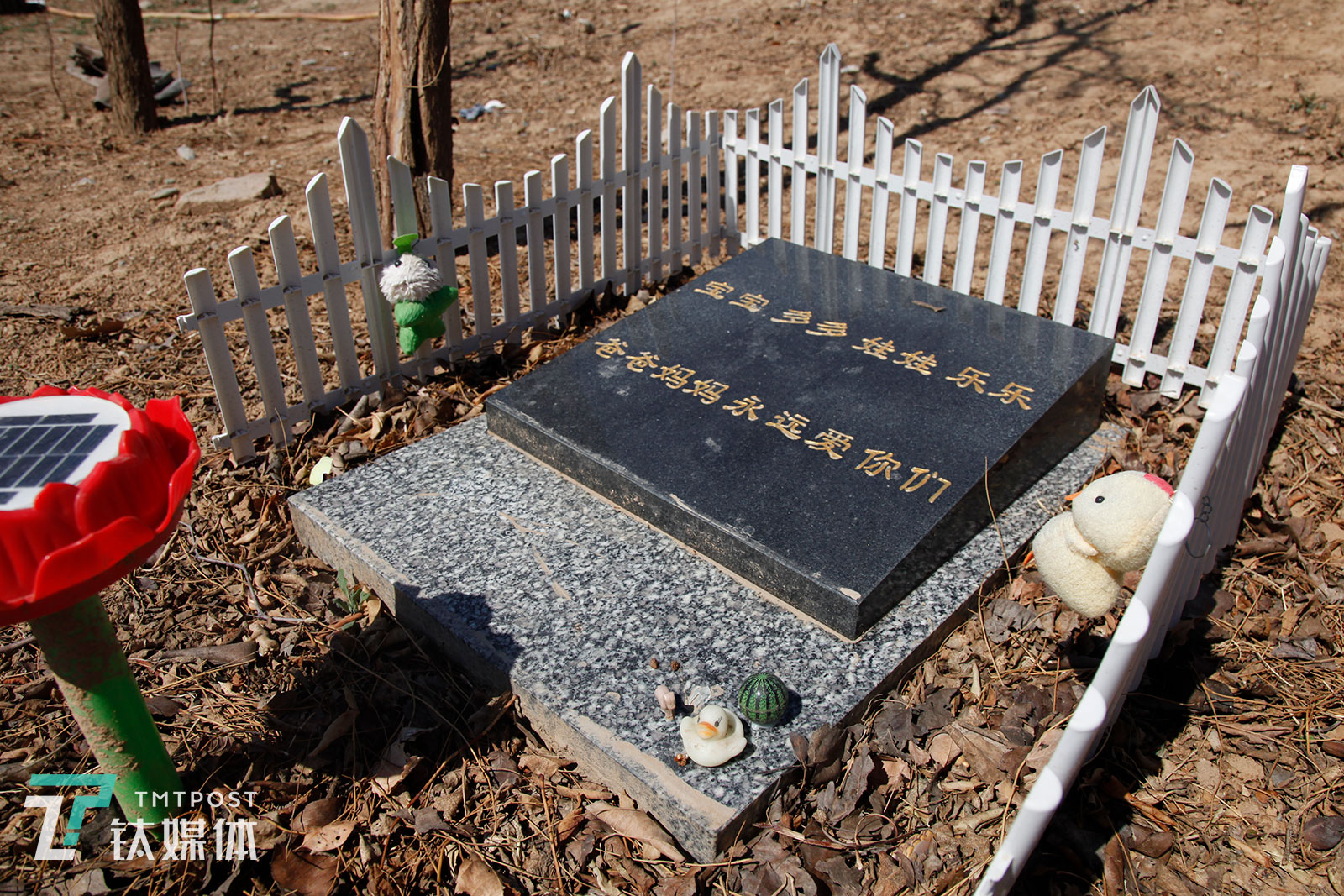 目前整个墓地共保存着30多只过世宠物的骨灰，经常有宠物主人前来探望，探望最勤的客人一个月会来两次。