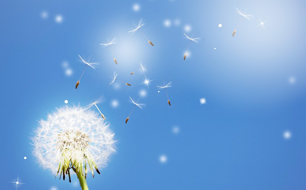 震荡一年后，中国游戏业的春天与新起点