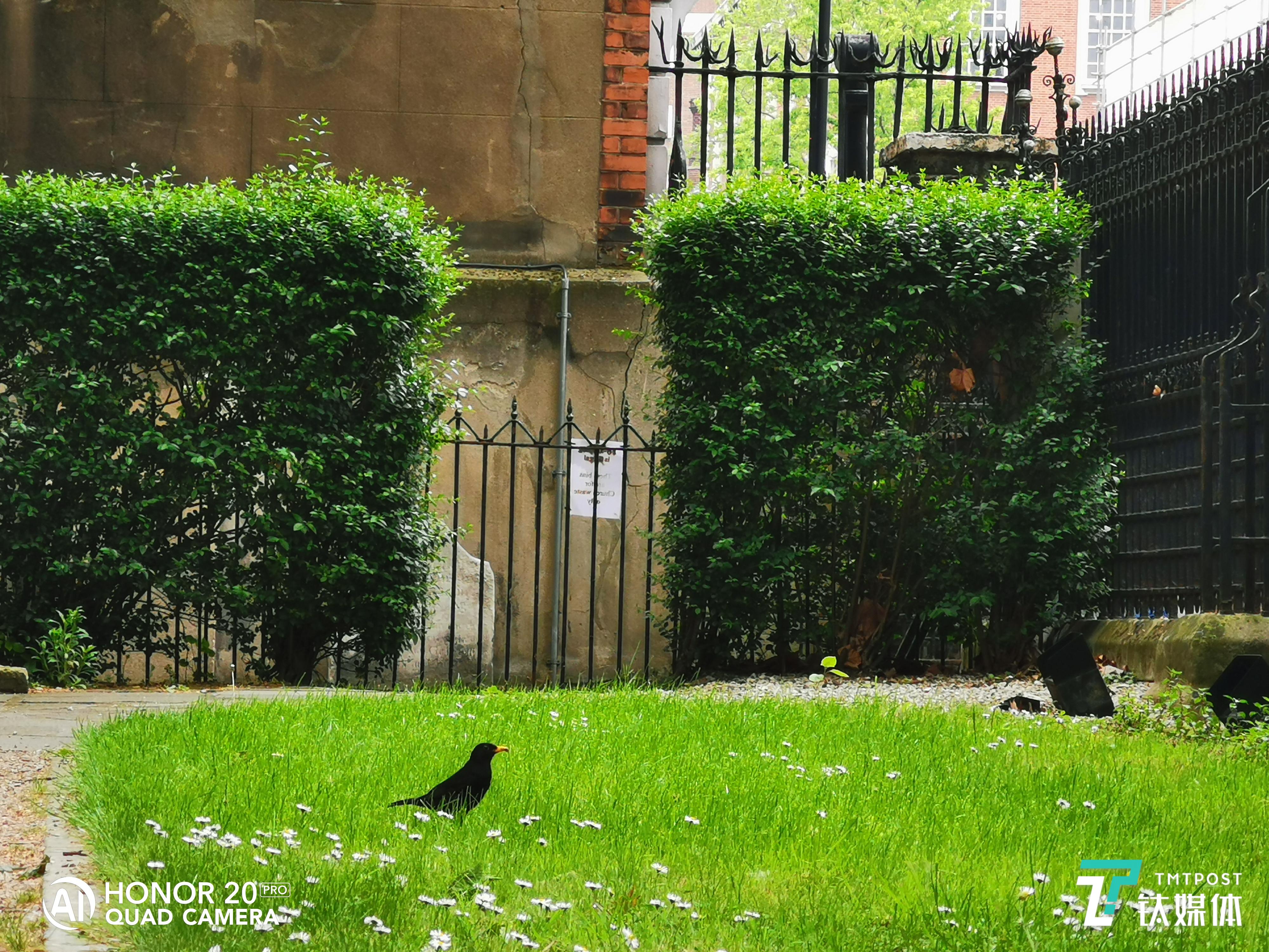 教堂后的小花园