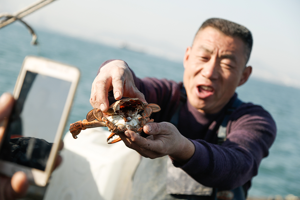 一年卖出3亿海鲜：直播小镇与它背后的“卖水人”