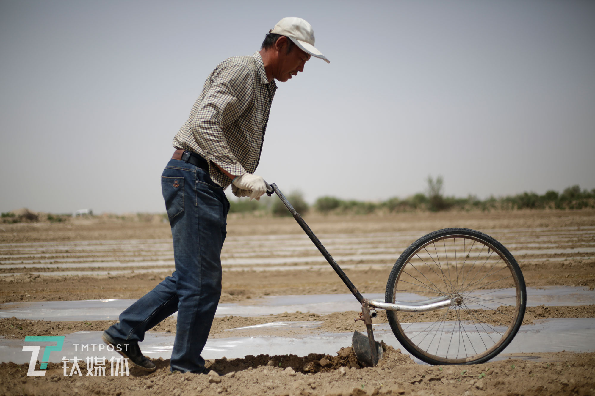 用来翻土盖膜的手推犁是由自行车部件焊接而成。