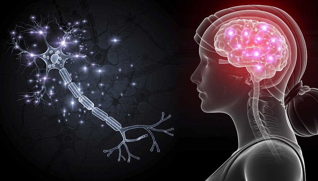 登上本期Nature杂志的论文，首次破解线虫“脑回路”到底如何工作