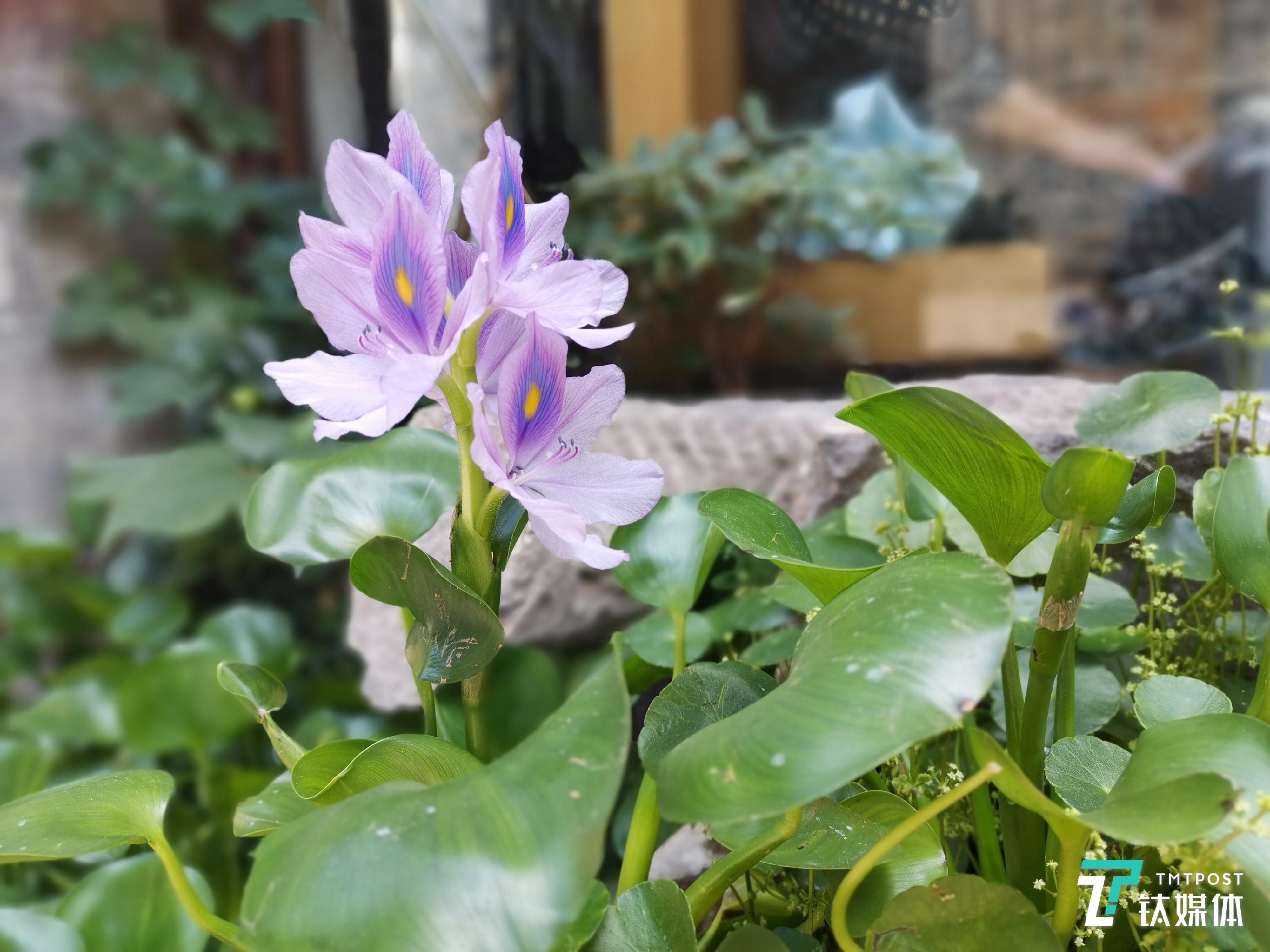 大光圈模式样张