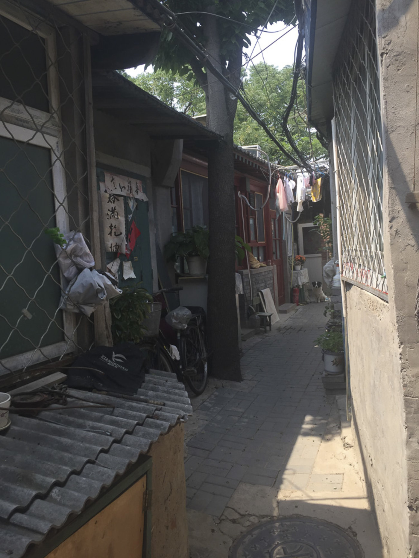 “孤岛”上的老人