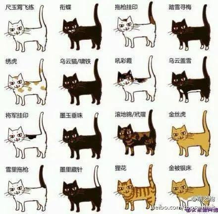 漫威可能对"中国血统"有误解