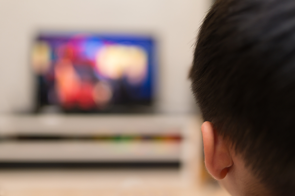 11家综艺制作公司暑期业绩报告