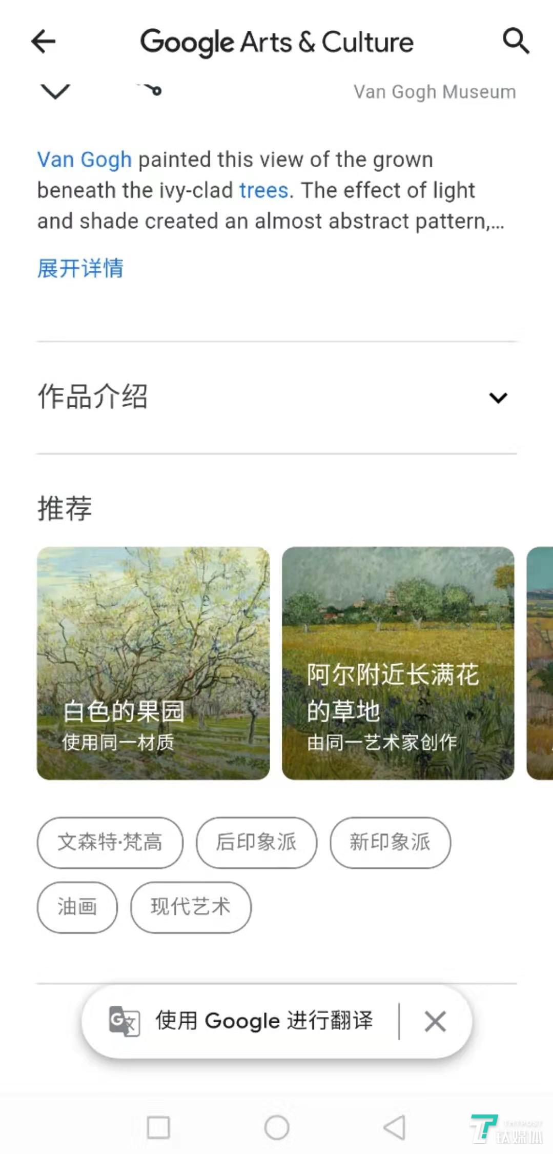 Google Arts & Culture 中的相关推荐