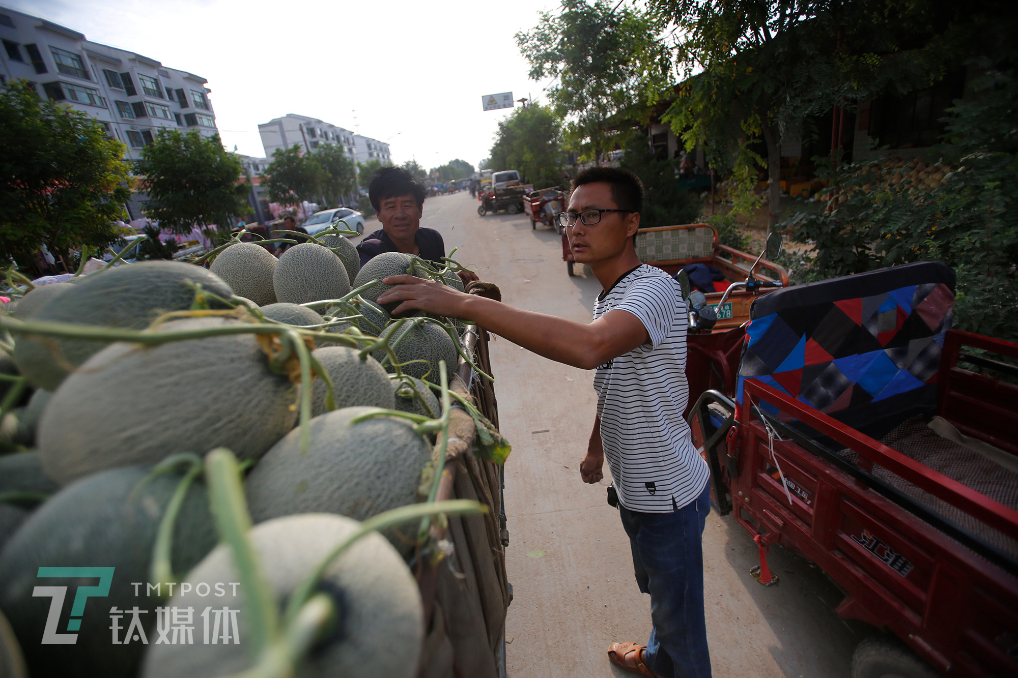 来自杭州的水果商老陈截住从瓜档门口经过的三轮车，开始跟瓜农商量价格。