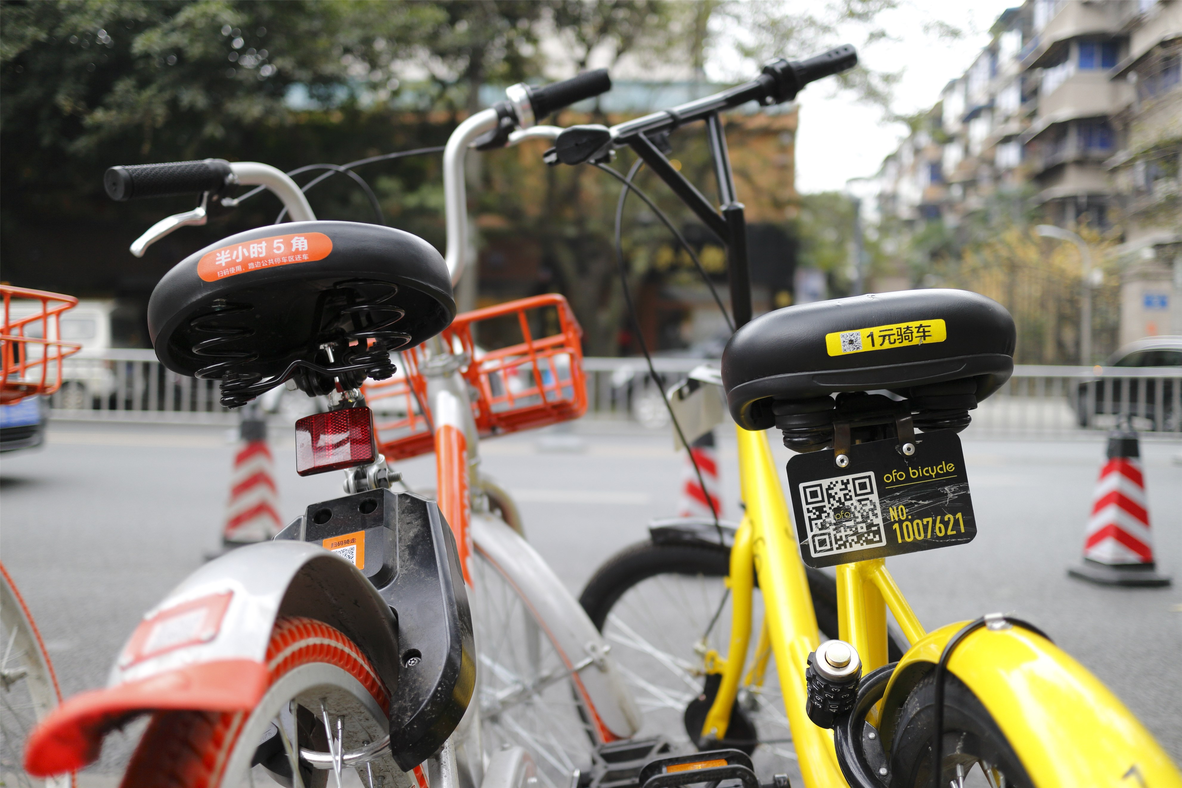 什么样的共享经济企业能走向成功？