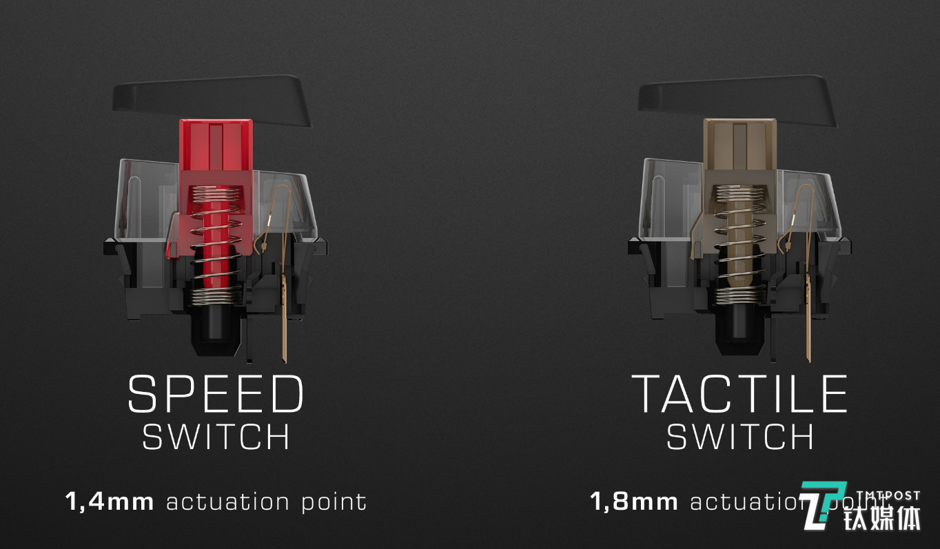 左为泰坦红轴，右为泰坦茶轴