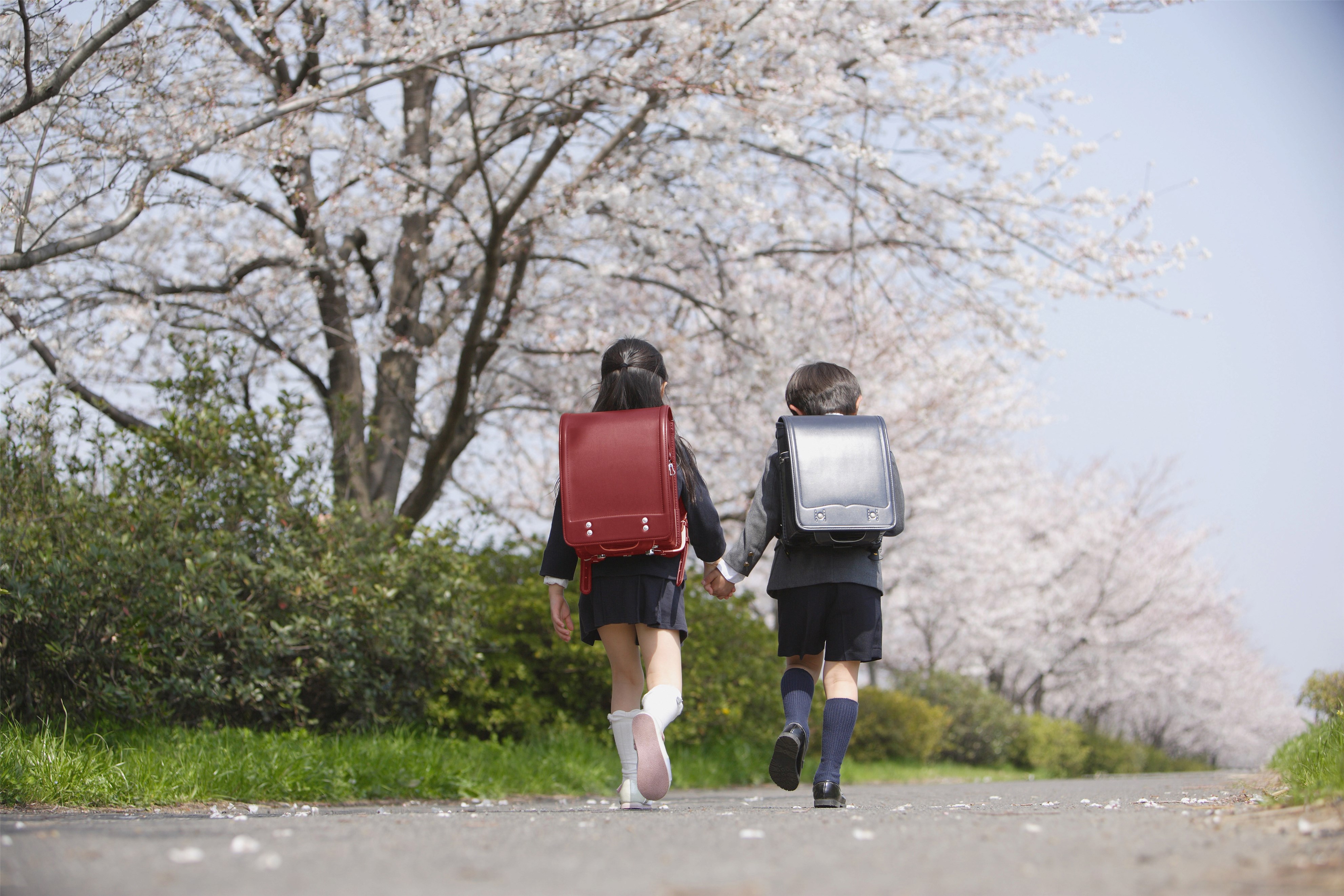 陪娃去泰国读书：圆梦学校和房子，纠结放飞还是鸡血