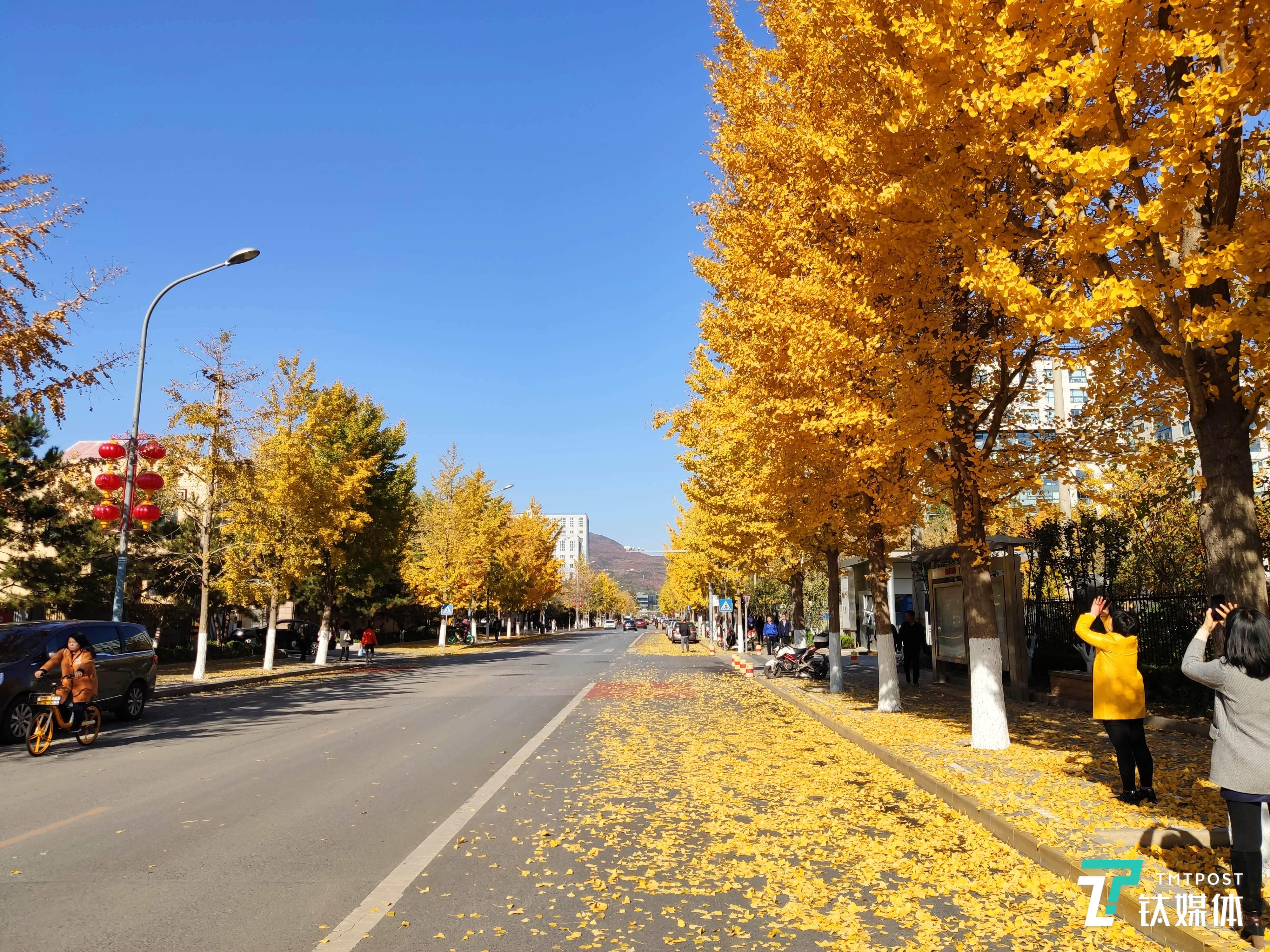 快门速度：1/1600秒 光圈：f/1.75 焦段：4.75毫米 ISO：112