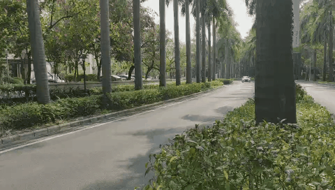 摄像头扫描出车道线后行驶