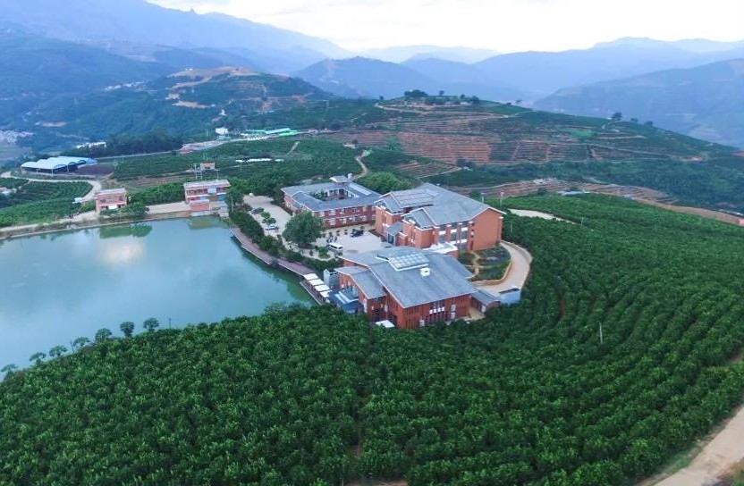 云南哀牢山的"平鹬"优渥的环境,才生出这独一无二的果实橙子本