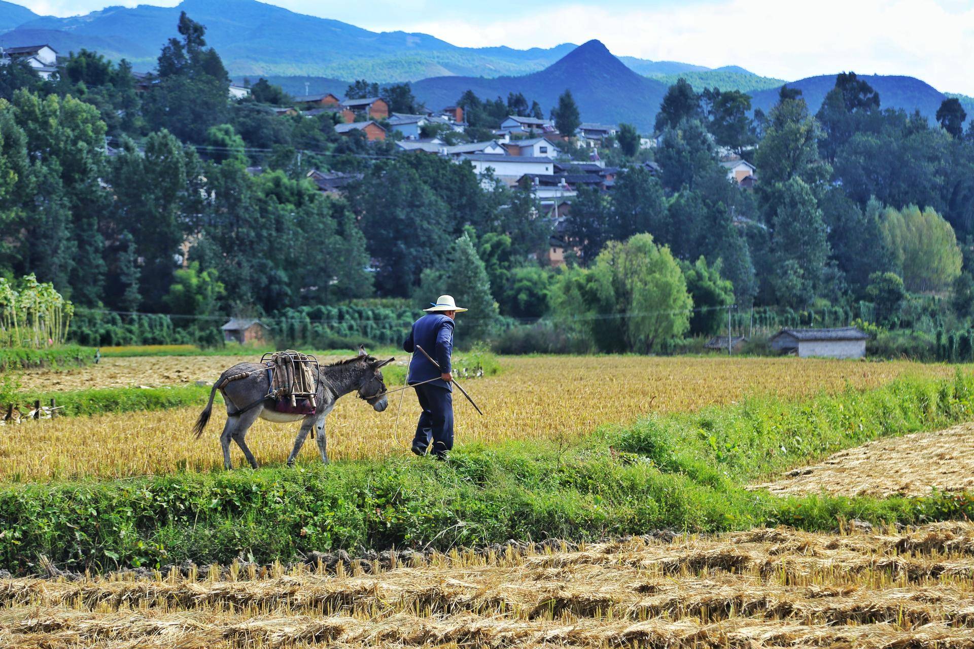 来自“下沉”的仰望：7岁时的腾讯和4岁的拼多多