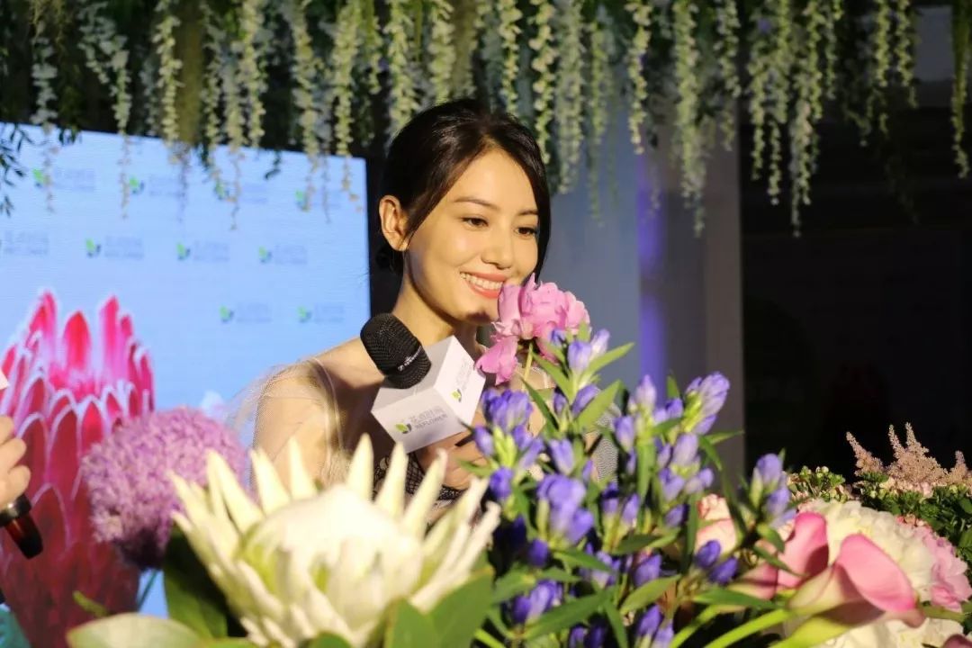 被遗忘的赛道：2019年只有一笔融资