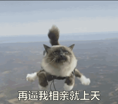 在闲鱼上，有16万人给宠物相亲