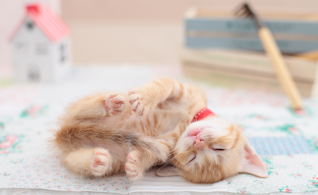 图片来源@视觉中国