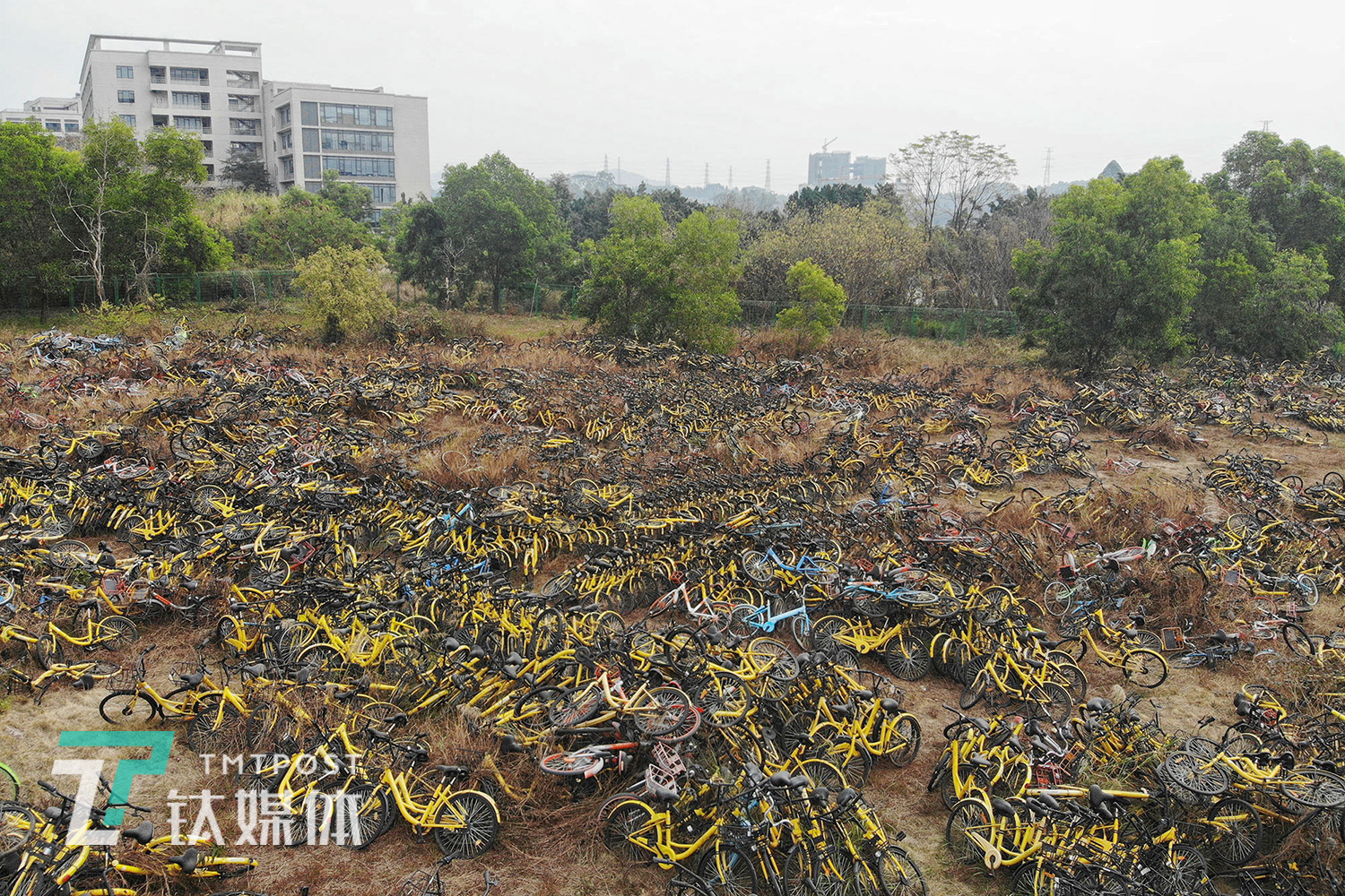 2019年1月31日，广州天河区，一处空地上堆放的共享单车。