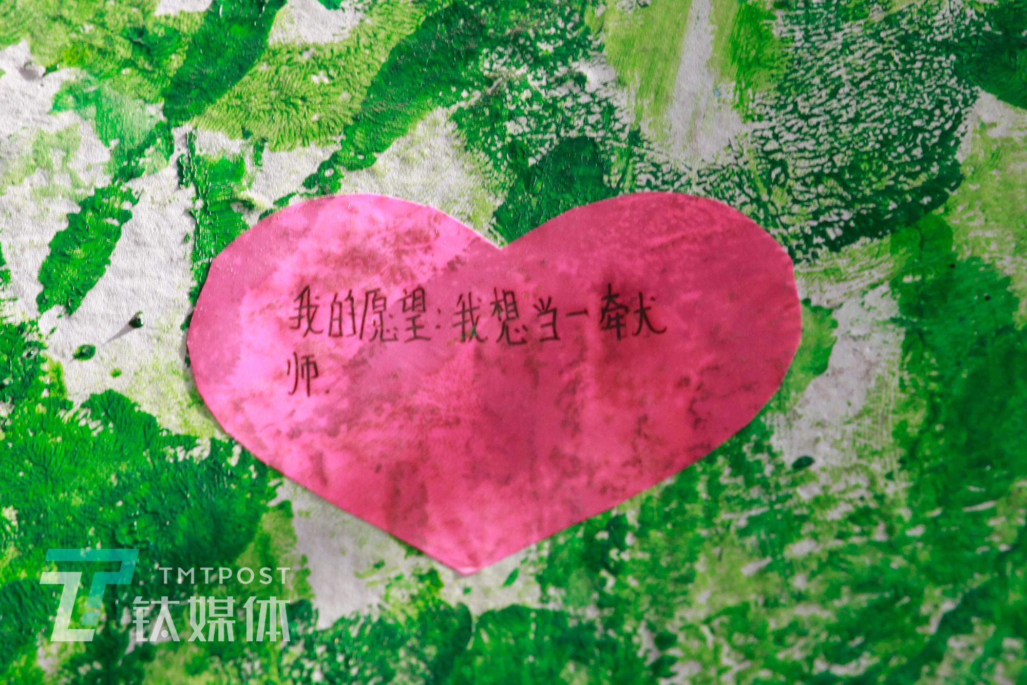 蒲公英中学旧校区的教室心愿墙上，一名学生在红色心愿纸上写着，想要当一名牵犬师。蒲公英是他们看到更大世界的窗口，从这里开始，他们的人生也有了更多可能性。