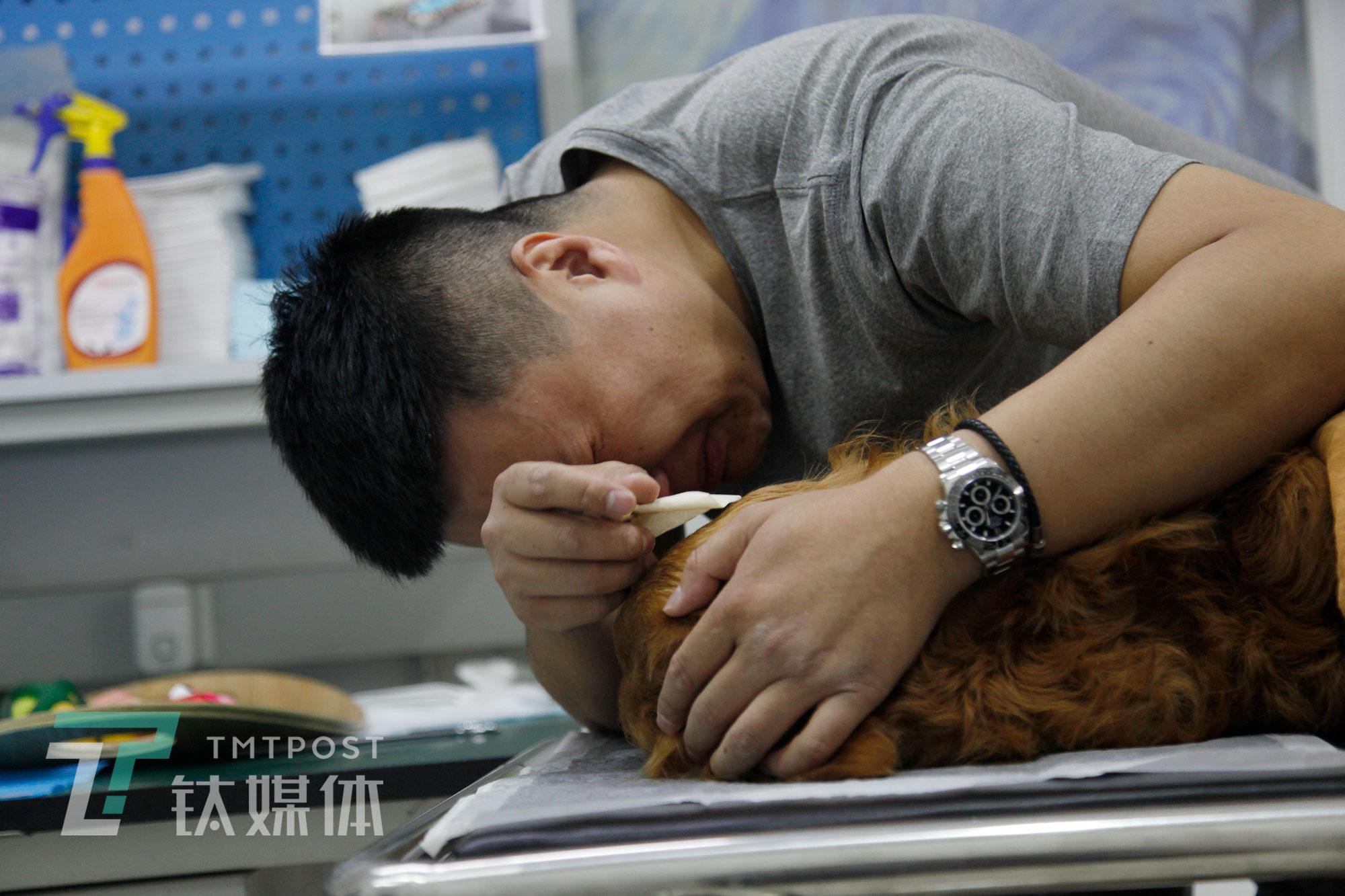 清洁室，狐狸摸着失去温度的馒头，忍不住痛哭，那是他10分钟内第三次流泪。11年，这只狗陪伴主人走过&ldquo;失恋&rdquo;、&ldquo;父母去世&rdquo;等等难熬的日子。