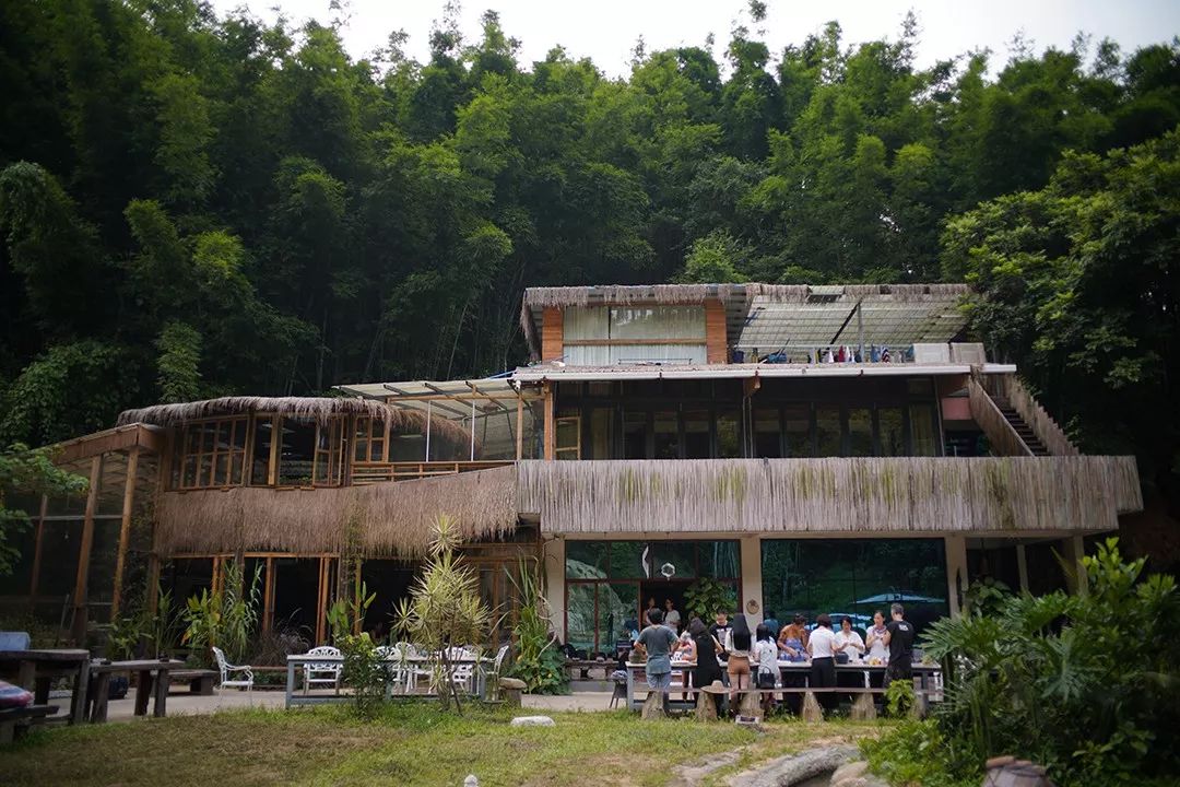 躲进山的城里人：我们都是被时代挤压的病人