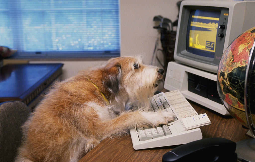 除夕夜加班的互联网人