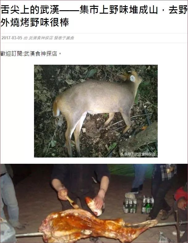 巧得很,我最后一次吃野味,就是在武汉,2007年,虎泉夜市.