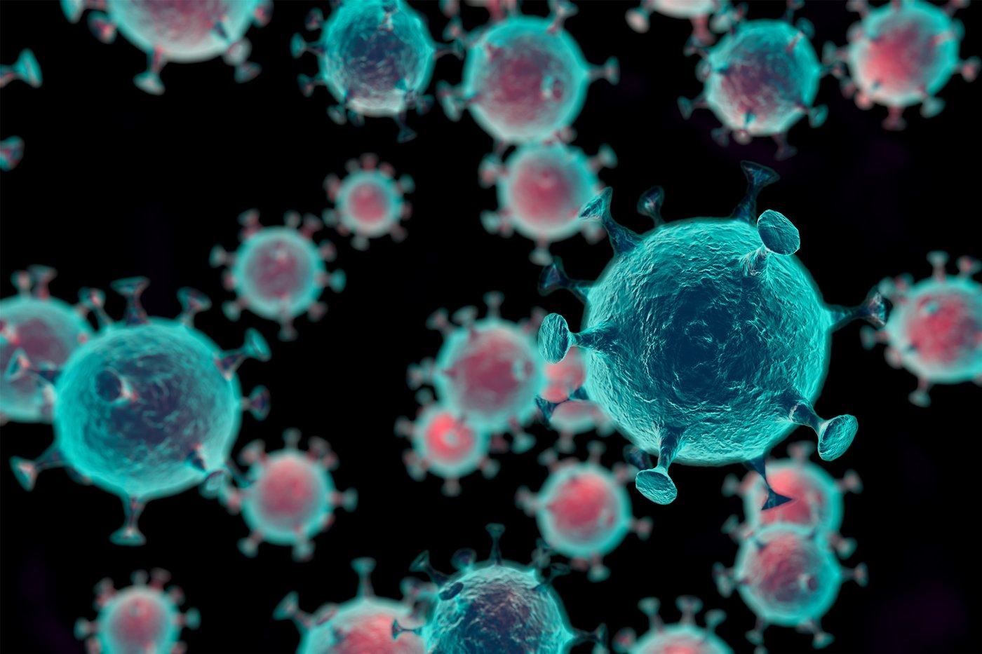 新型冠状病毒长这样：显微镜下繁衍数量惊人