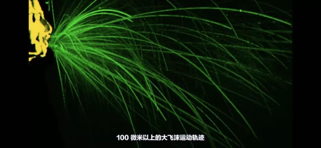 《关于新冠肺炎的一切 》火了，可“回形针”不想当网红