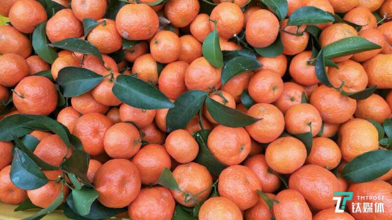 因疫情影响，当地&ldquo;黄金果&rdquo;变成了&ldquo;滞销品&rdquo;。
