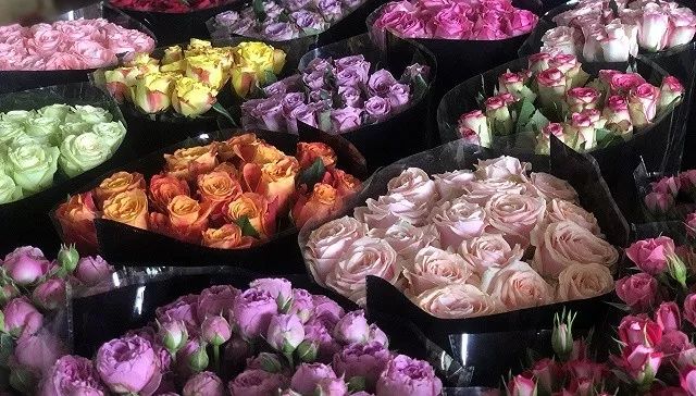 这个情人节，云南花农平均损失过万