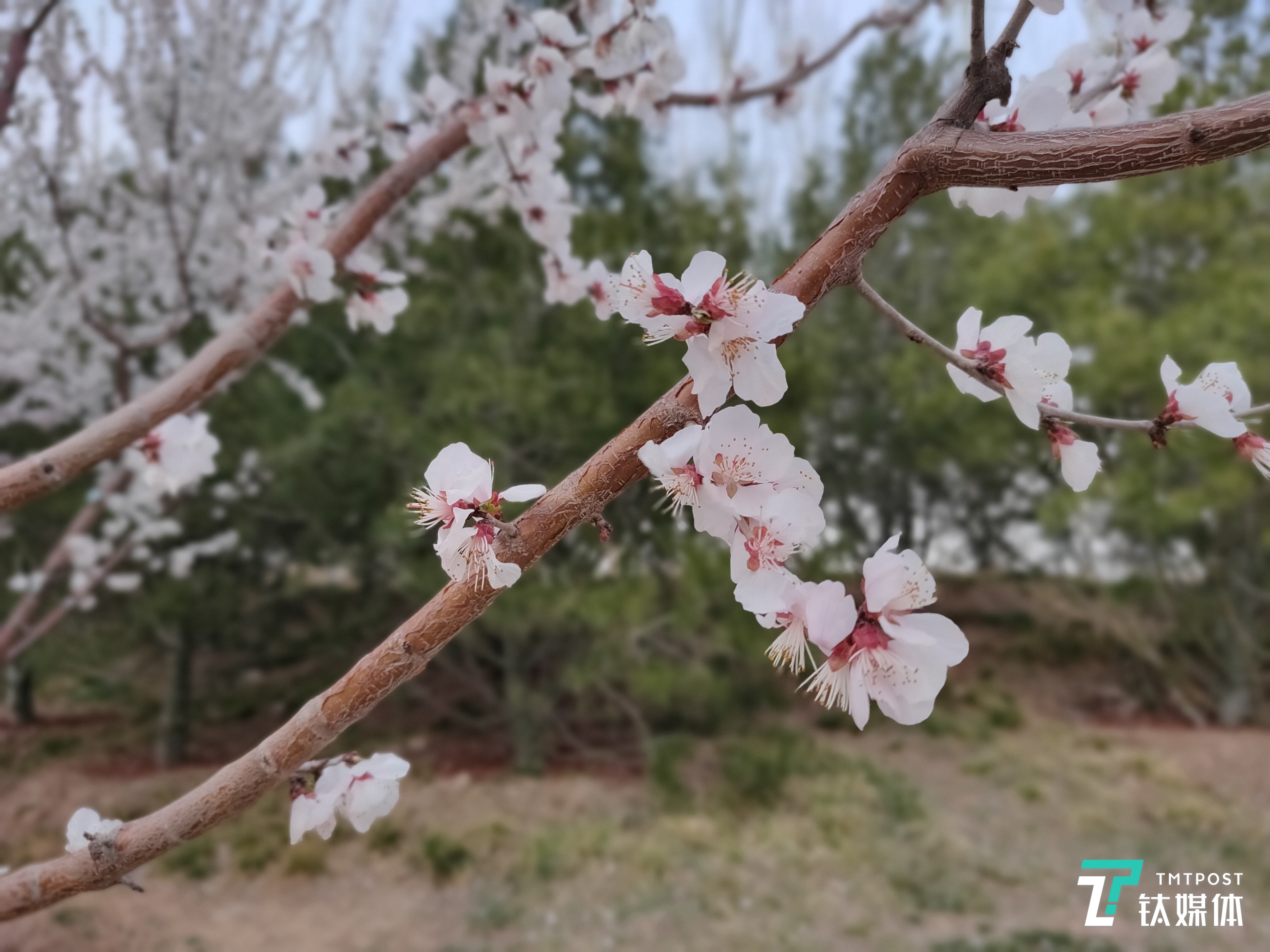 更多样张 焦距：5.58毫米  光圈：f/1.8  ISO：100  快门：1/500