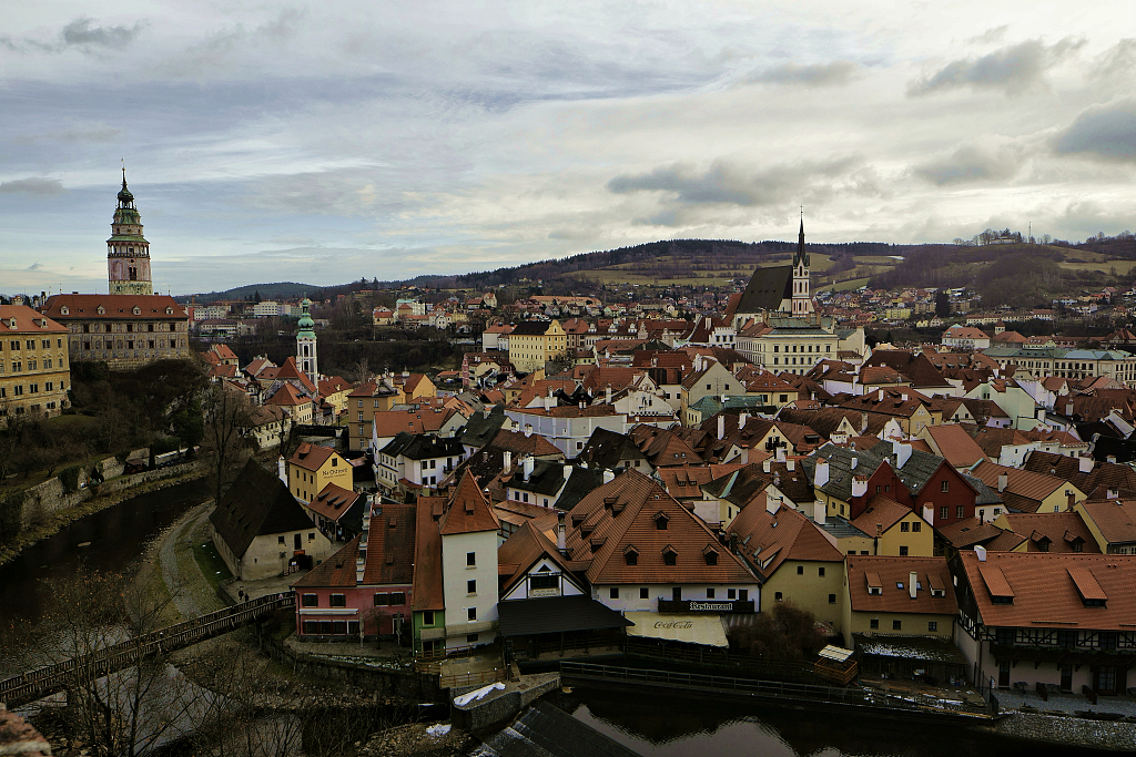 要不要回国？欧洲疫情下，留学生的真实想法