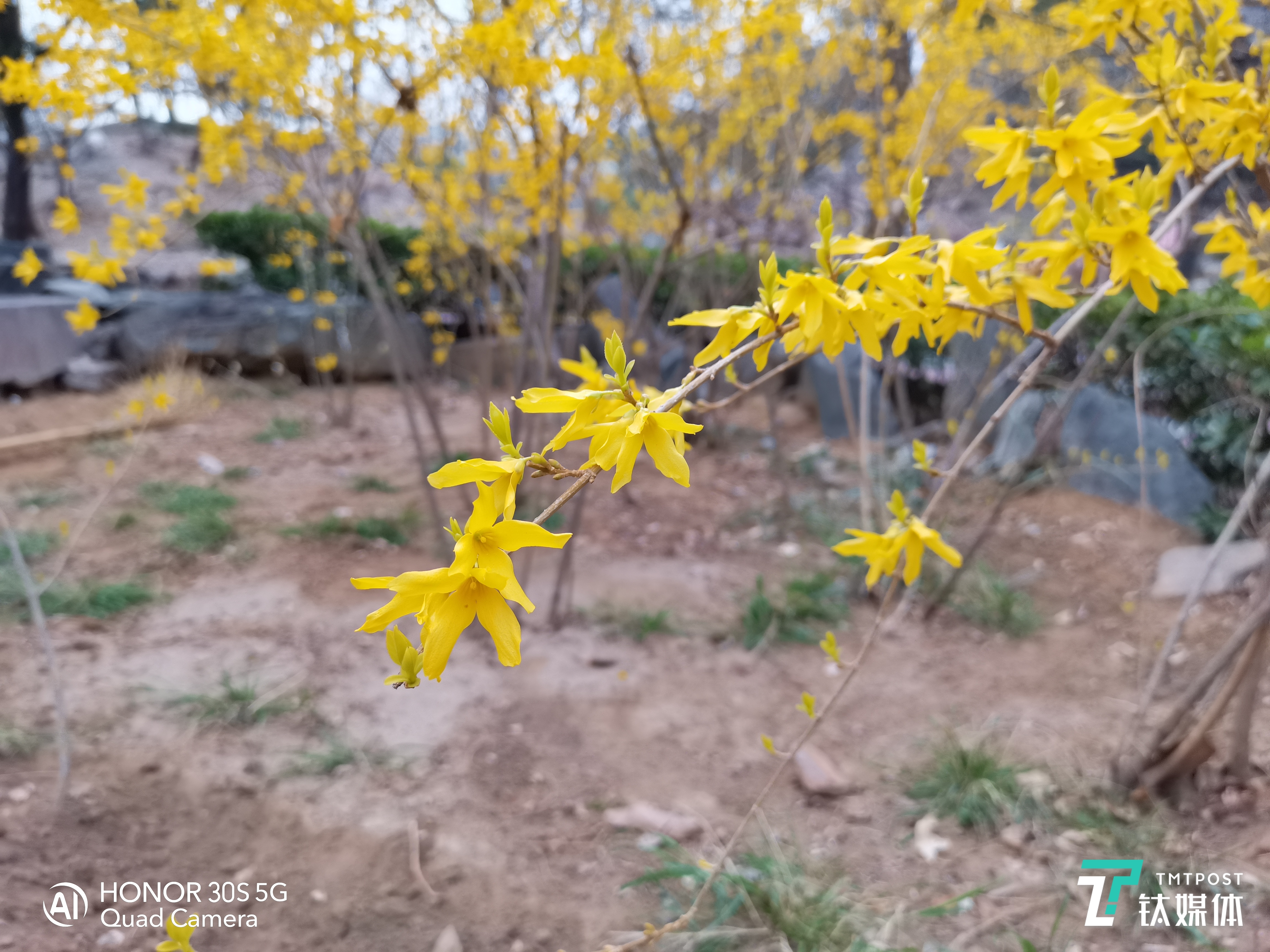 主摄&ldquo;微距&rdquo;样张