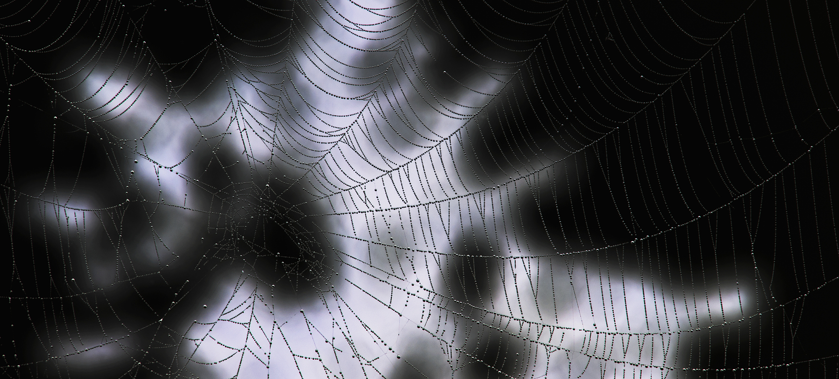 疫情之下，暗网开始卖口罩和检测试剂了