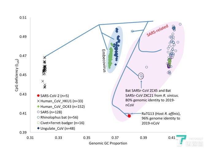 CpG值对照分析图（来源：论文）